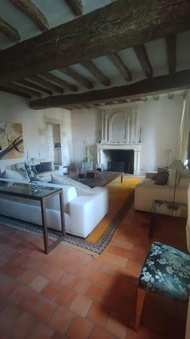 Domaine Du Prieure Saint Ellier Villa Charcé-Saint-Ellier-sur-Aubance Екстериор снимка